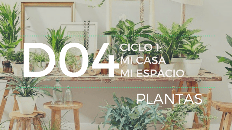 plantas