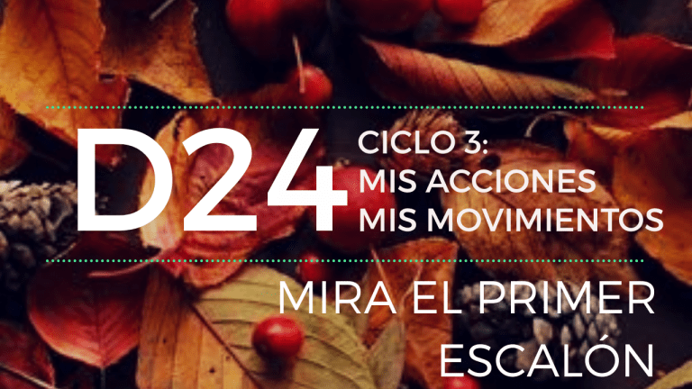 mirar el primer escalon