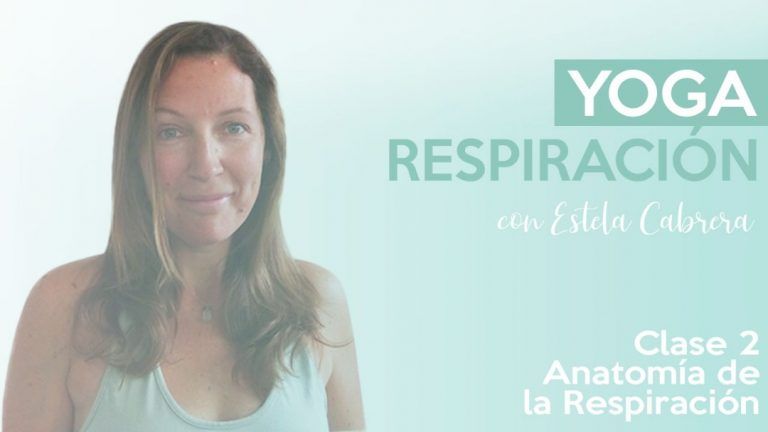Anatomia de la respiración