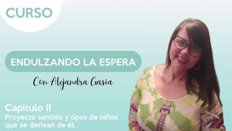 cap.2 Proyecto sentido y tipos de niños que se derivan de él - Endulzando la espera - Alejandra Gasia